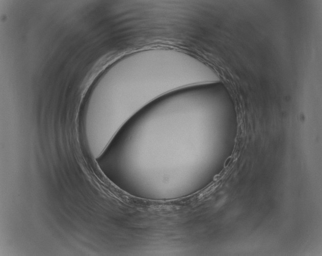 X0000078850242200611130941