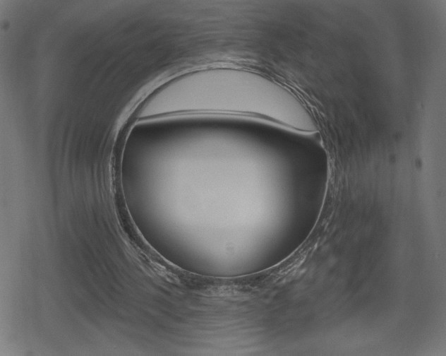 X0000078850244200611130941