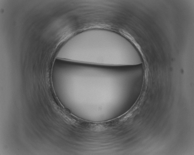 X0000078850249200611130941