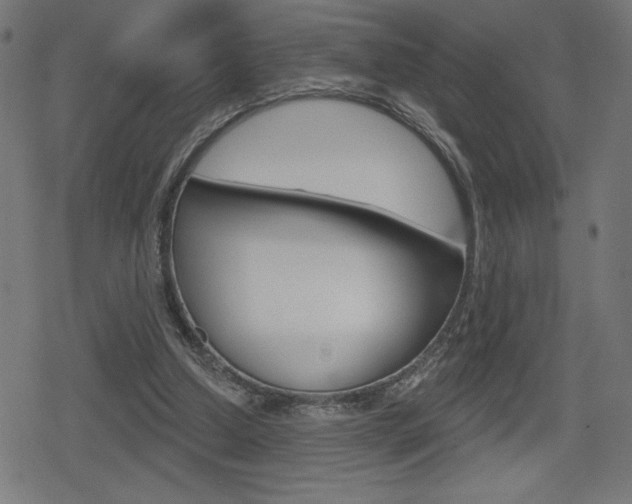 X0000078850250200611130942