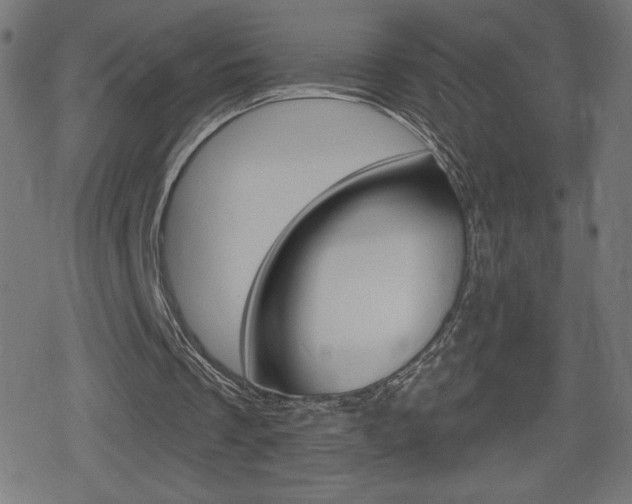 X0000078850289200611130941