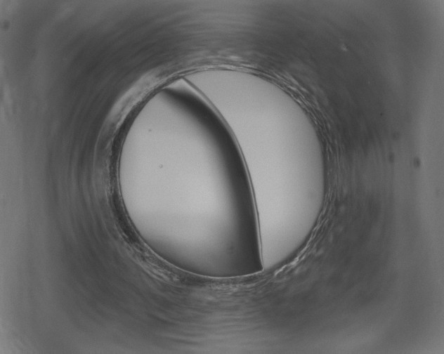 X0000078850291200611130941