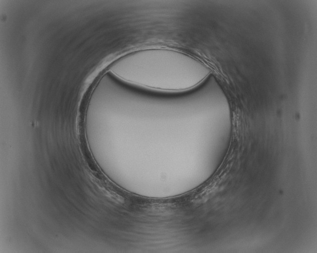 X0000078850292200611130941