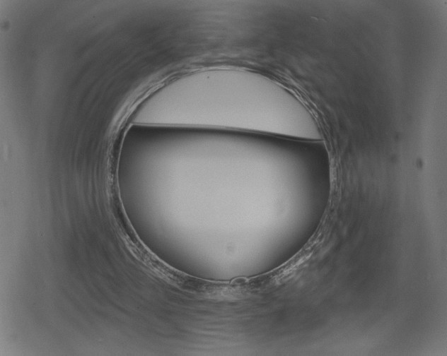 X0000078850293200611130941