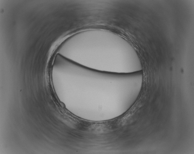X0000078850294200611130941