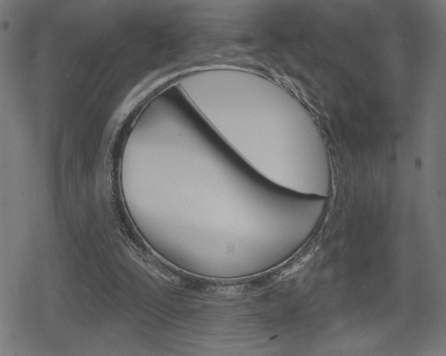 X0000078850295200611130941