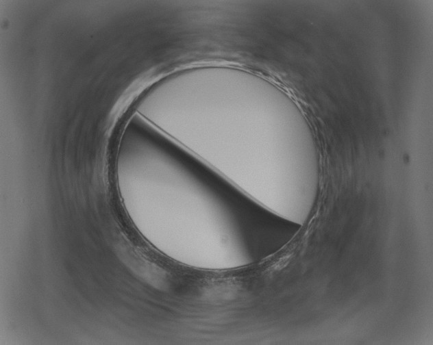 X0000078850296200611130941