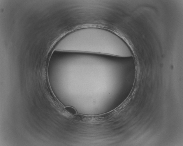 X0000078850297200611130941