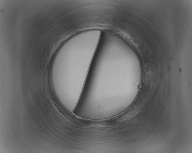 X0000078850299200611130941
