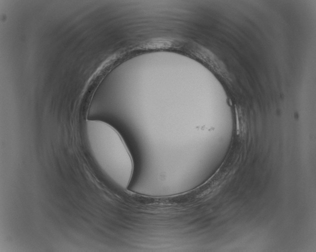 X0000078850300200611130941