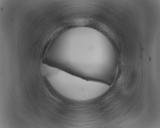 X0000078850307200611130941
