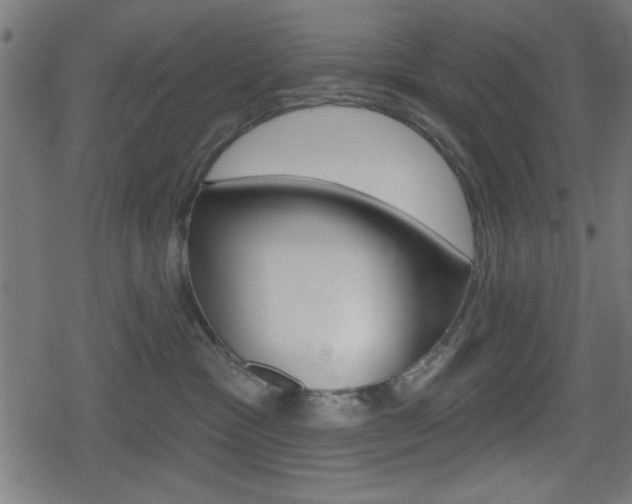 X0000078850333200611130941