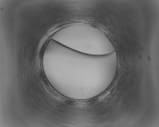X0000078850343200611130940