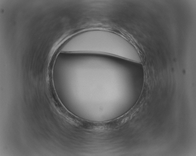X0000078850344200611130940