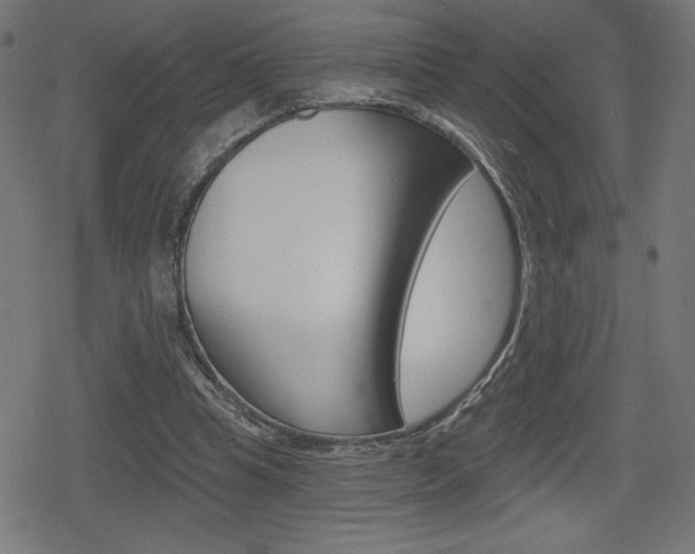 X0000078850345200611130940