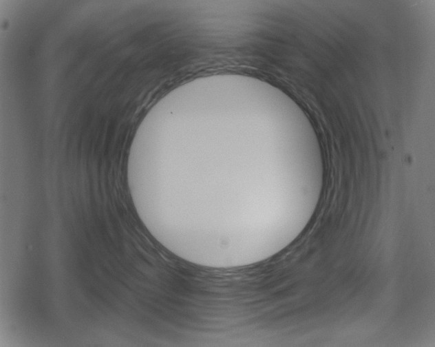X0000078850384200611130941