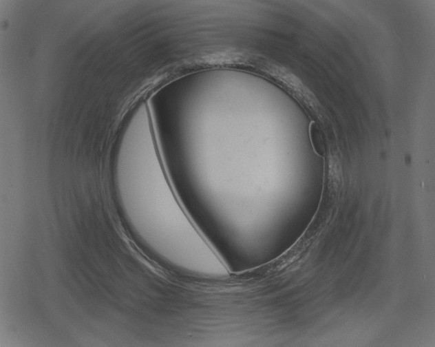 X0000078850397200611130940