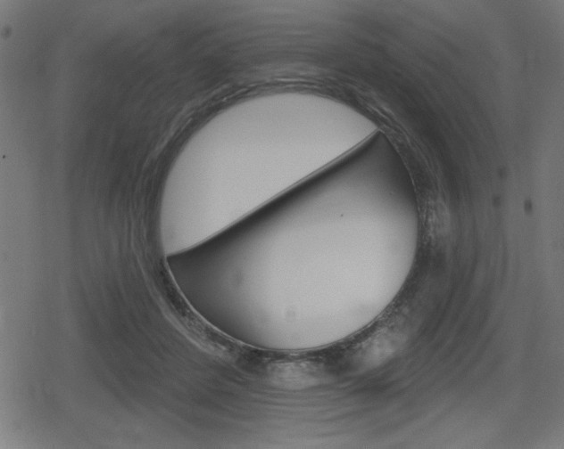X0000078850408200611130939