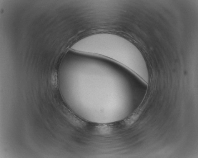 X0000078850425200611130939