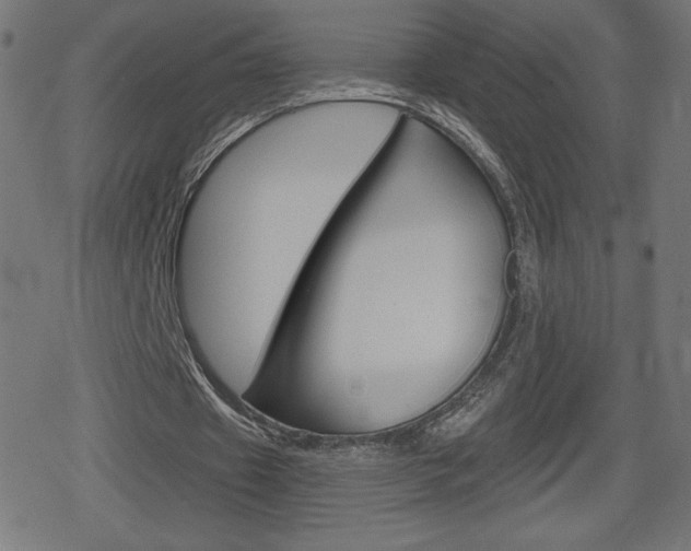 X0000078850433200611130938