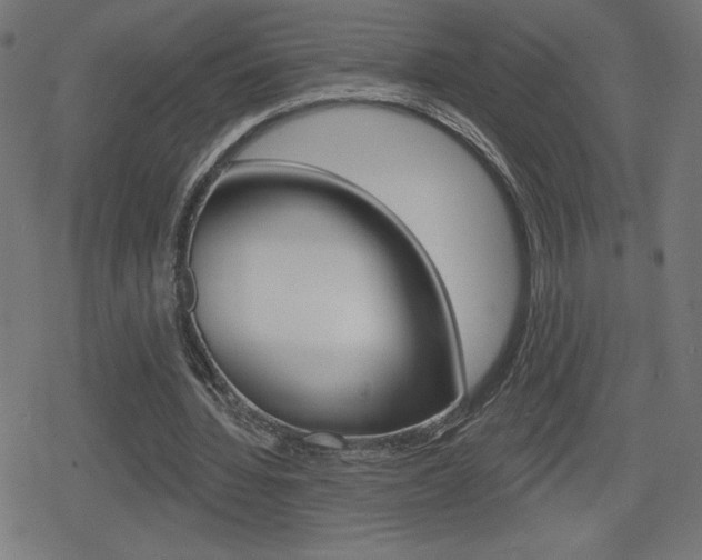 X0000078850436200611130938
