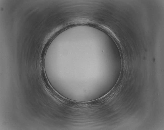 X0000078850439200611130938