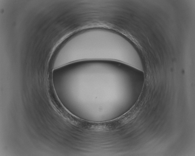 X0000078850440200611130938