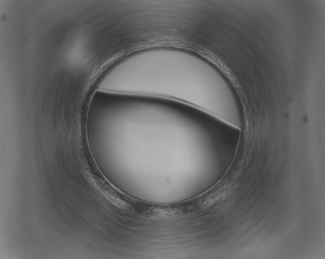 X0000078850442200611130938