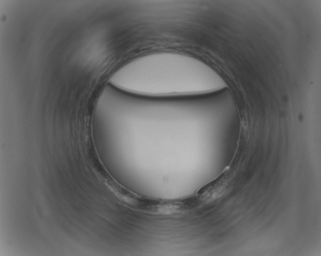 X0000078850462200611130939