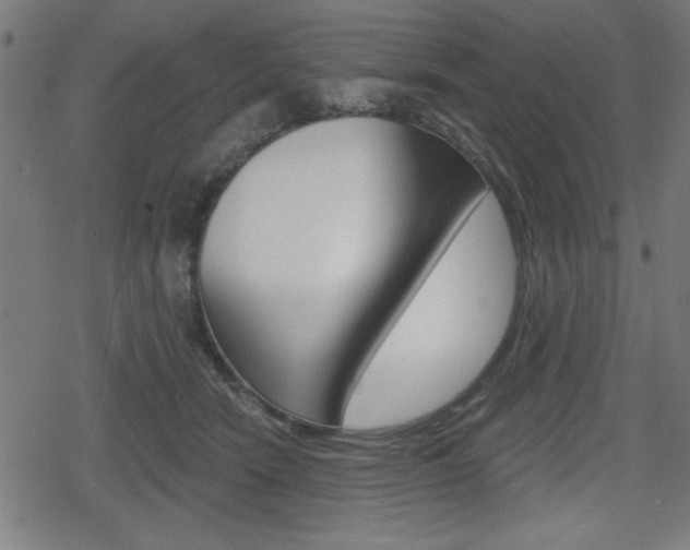 X0000078850466200611130939