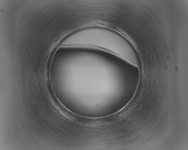 X0000078850485200611130938