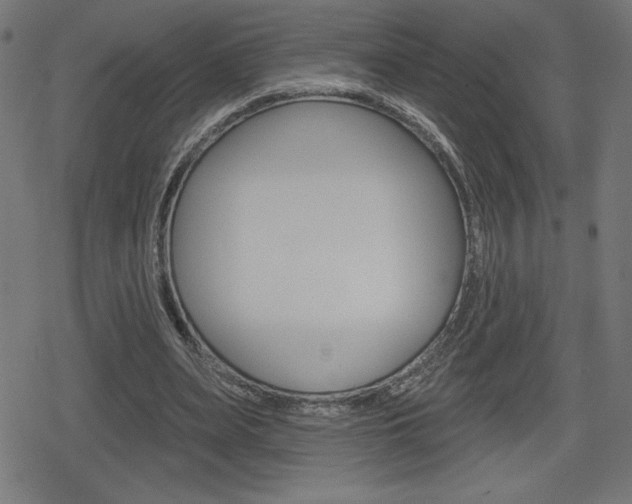 X0000078850487200611130938