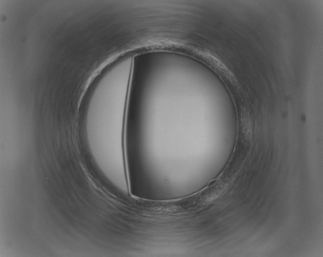X0000078850488200611130938