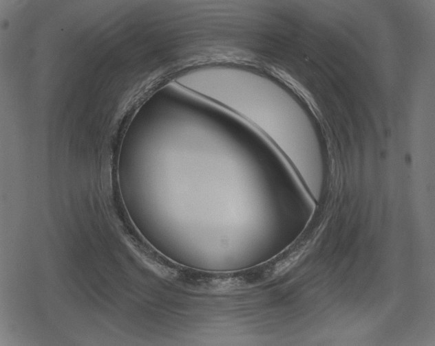 X0000078850493200611130938