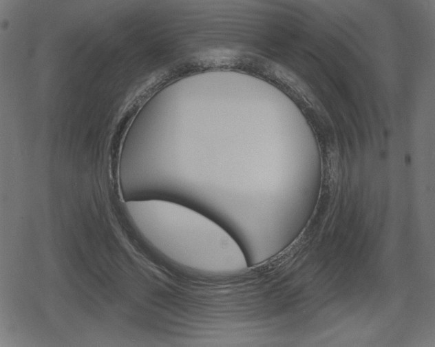 X0000078850494200611130938