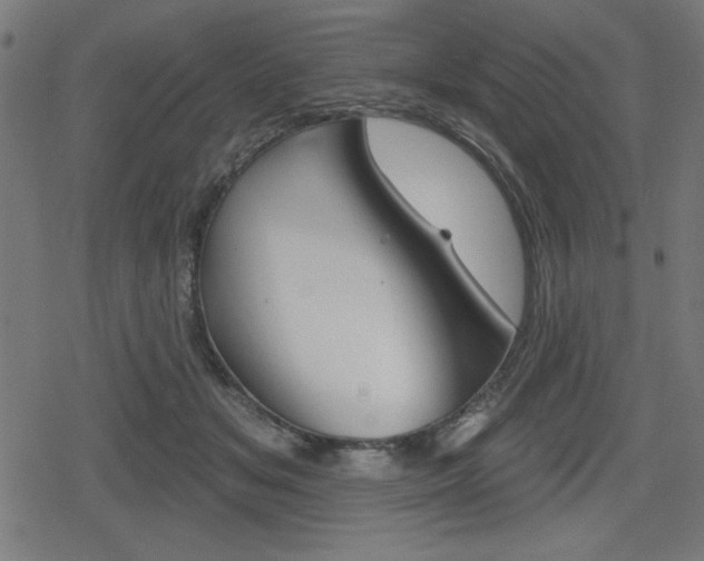 X0000078850509200611130938