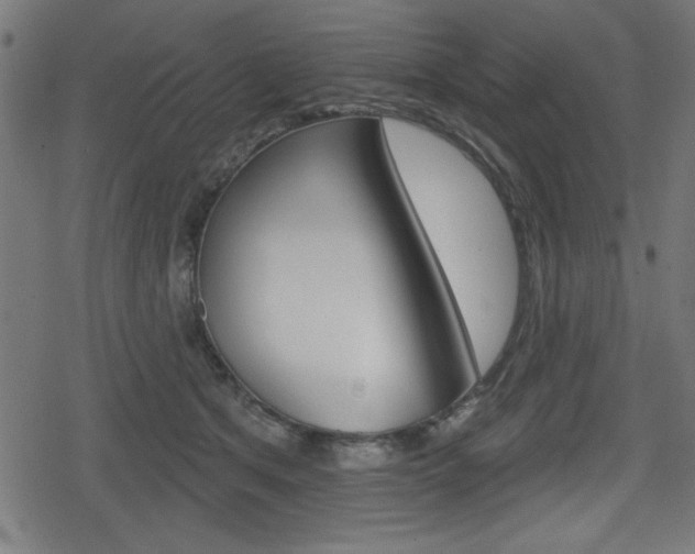 X0000078850513200611130938