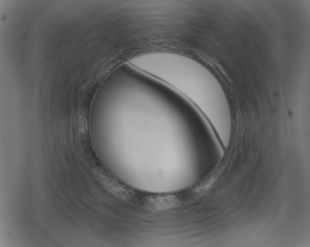 X0000078850517200611130938