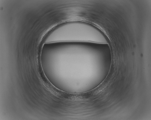 X0000078850535200611130937
