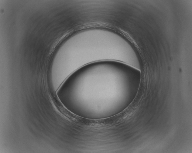 X0000078850538200611130937