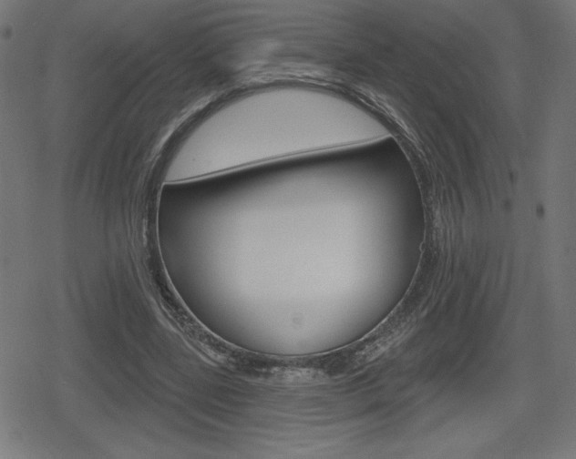 X0000078850539200611130937