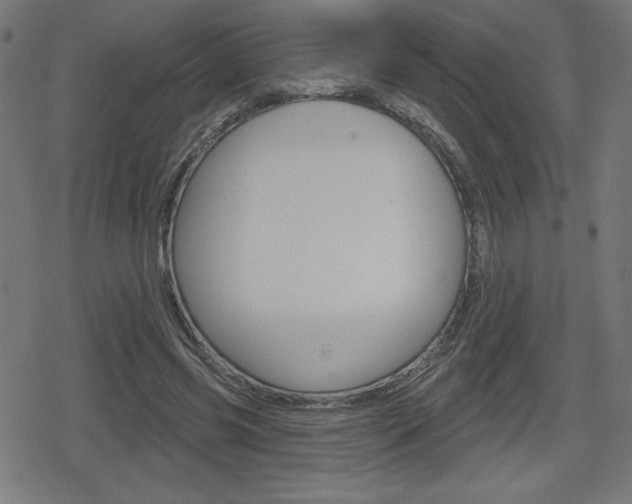 X0000078850541200611130937