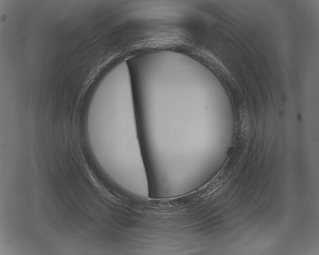 X0000078850542200611130937