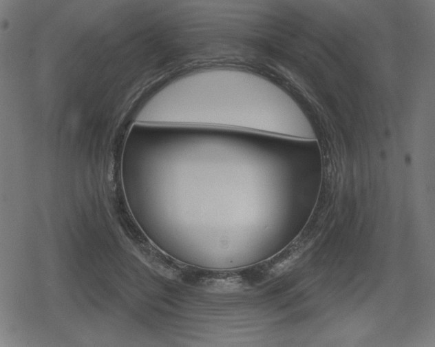 X0000078850548200611130937