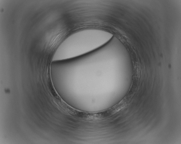 X0000078850550200611130937