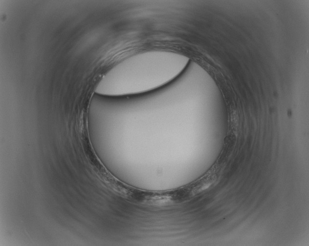 X0000078850554200611130937