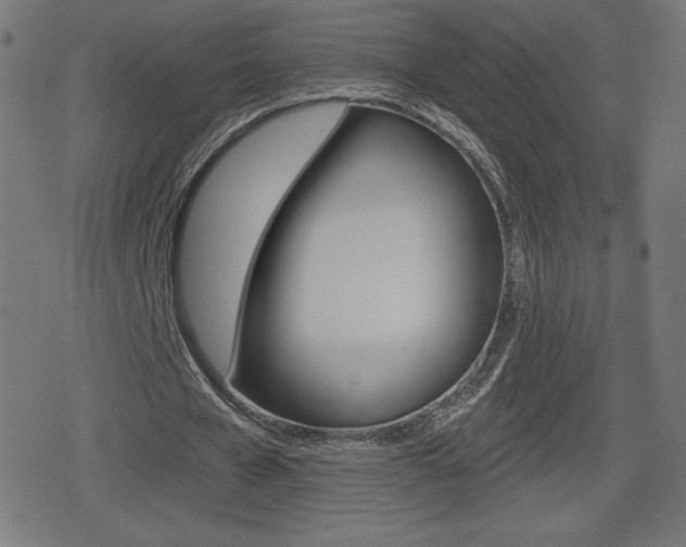 X0000078850577200611130937