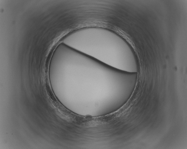 X0000078850578200611130937