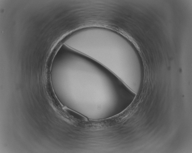X0000078850580200611130937