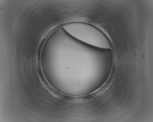 X0000078850581200611130937